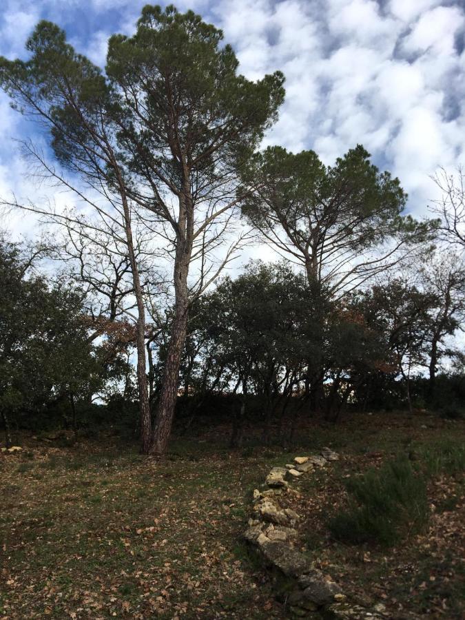 Les Marguerites Bed & Breakfast Vers Pont du Gard Exterior photo