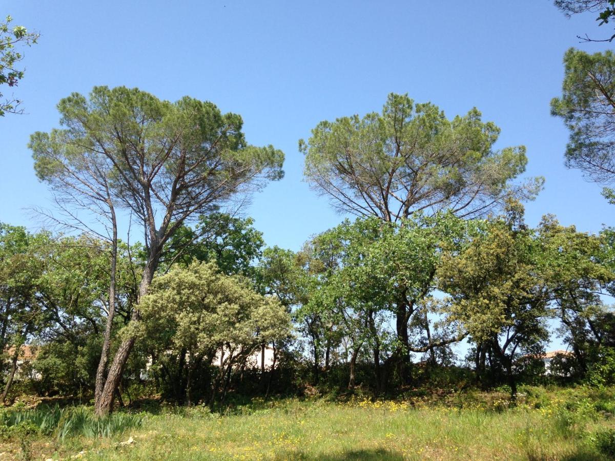 Les Marguerites Bed & Breakfast Vers Pont du Gard Exterior photo