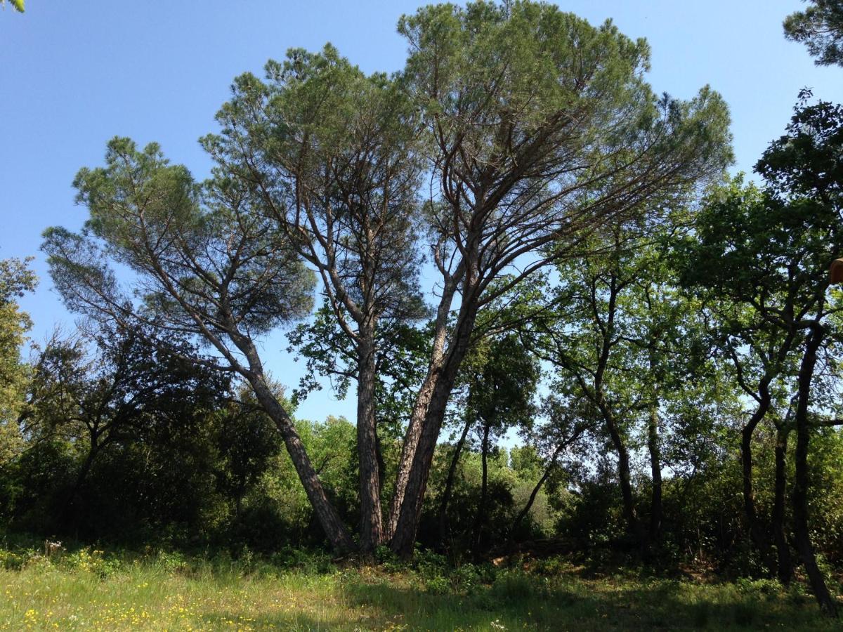 Les Marguerites Bed & Breakfast Vers Pont du Gard Exterior photo